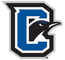 Logo: Storm Basketball